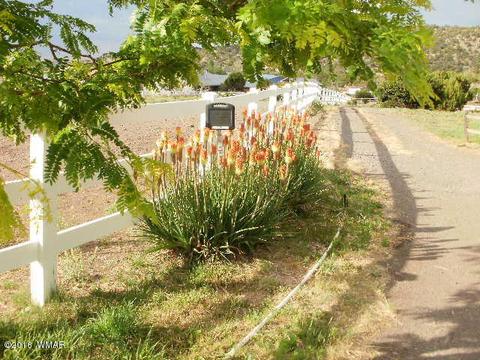 963 S Juniper St, Eagar, AZ 85925 photo 3