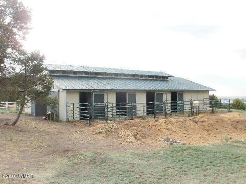 963 S Juniper St, Eagar, AZ 85925 photo 52