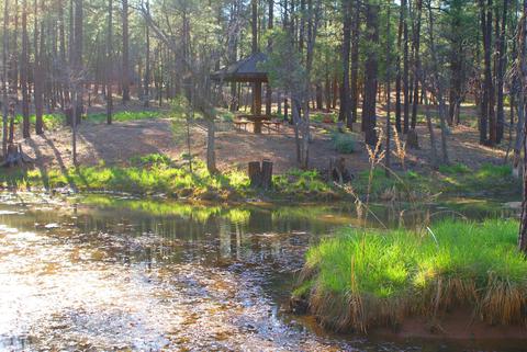 2151 E Recreation Loop, Show Low, AZ 85901 photo 3