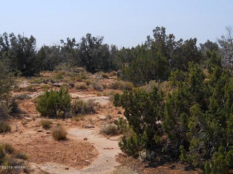 5175 Windmill Ln, Snowflake, AZ 85937 photo 27