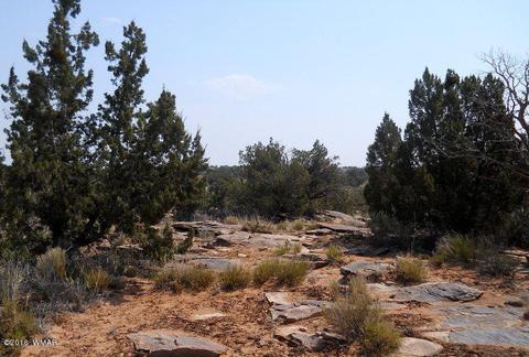 5175 Windmill Ln, Snowflake, AZ 85937 photo 36