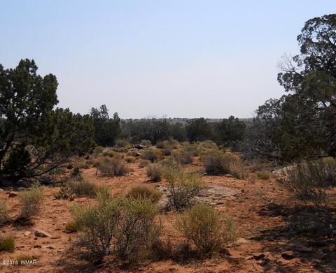 5175 Windmill Ln, Snowflake, AZ 85937 photo 30