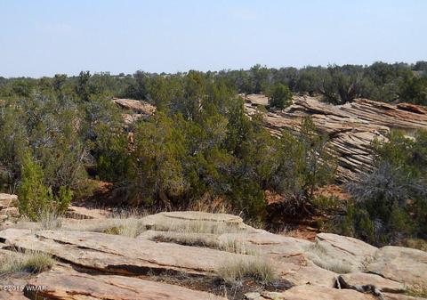 5175 Windmill Ln, Snowflake, AZ 85937 photo 9