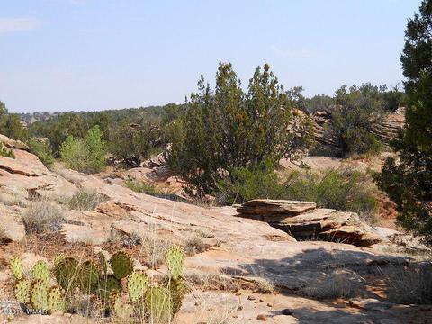 5175 Windmill Ln, Snowflake, AZ 85937 photo 6