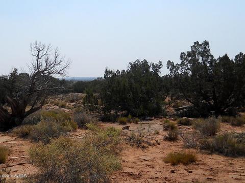 5175 Windmill Ln, Snowflake, AZ 85937 photo 31
