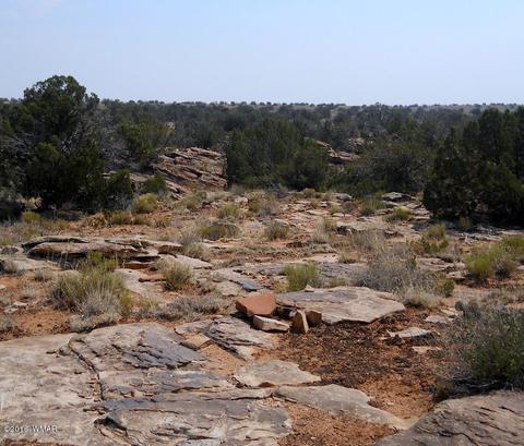5175 Windmill Ln, Snowflake, AZ 85937 photo 21