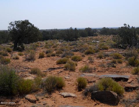 5175 Windmill Ln, Snowflake, AZ 85937 photo 23
