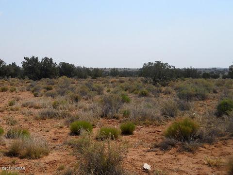 5175 Windmill Ln, Snowflake, AZ 85937 photo 32