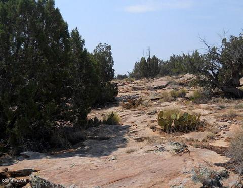 5175 Windmill Ln, Snowflake, AZ 85937 photo 7