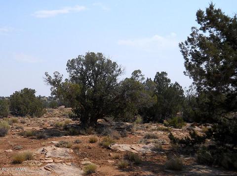 5175 Windmill Ln, Snowflake, AZ 85937 photo 33