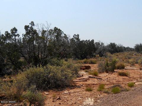 5175 Windmill Ln, Snowflake, AZ 85937 photo 29