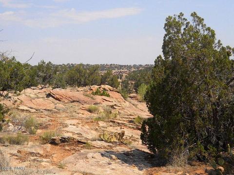 5175 Windmill Ln, Snowflake, AZ 85937 photo 4