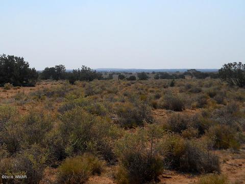 5175 Windmill Ln, Snowflake, AZ 85937 photo 13