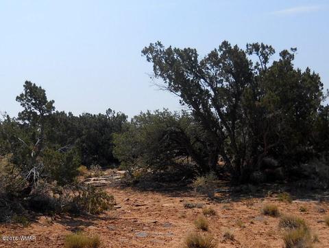 5175 Windmill Ln, Snowflake, AZ 85937 photo 11