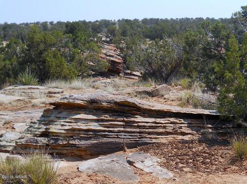 5175 Windmill Ln, Snowflake, AZ 85937 photo 10