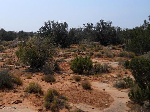 5175 Windmill Ln, Snowflake, AZ 85937 photo 12