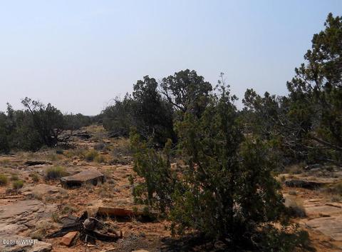 5175 Windmill Ln, Snowflake, AZ 85937 photo 17