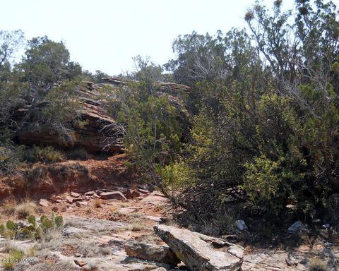 5175 Windmill Ln, Snowflake, AZ 85937 photo 5