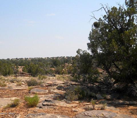 5175 Windmill Ln, Snowflake, AZ 85937 photo 24
