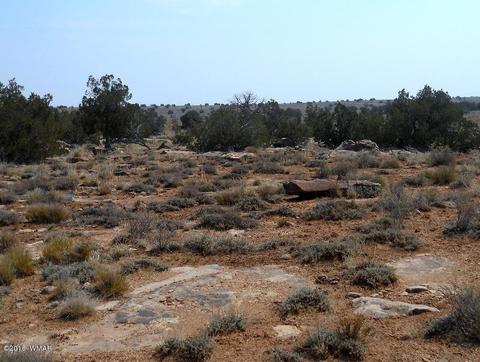 5175 Windmill Ln, Snowflake, AZ 85937 photo 34
