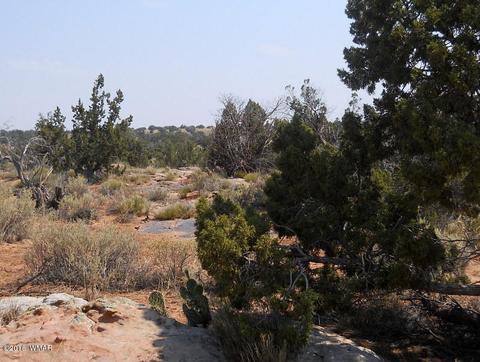 5175 Windmill Ln, Snowflake, AZ 85937 photo 28