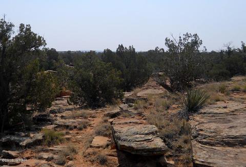 5175 Windmill Ln, Snowflake, AZ 85937 photo 16