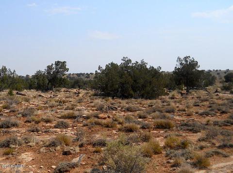 5175 Windmill Ln, Snowflake, AZ 85937 photo 35