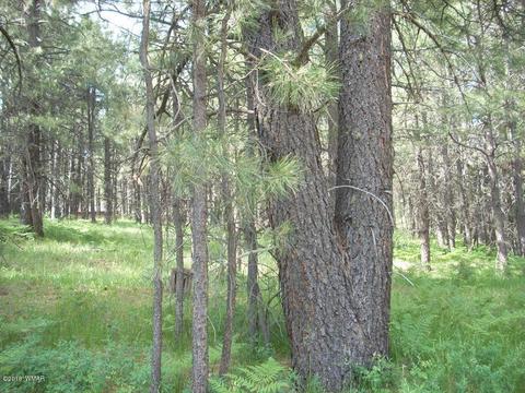 3571 Larson Loop, Forest Lakes, AZ 85931 photo 6