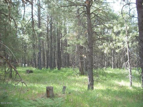 3571 Larson Loop, Forest Lakes, AZ 85931 photo 7