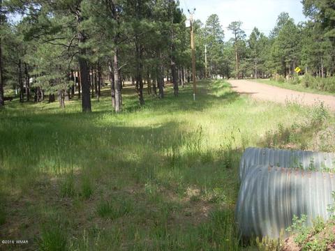 3571 Larson Loop, Forest Lakes, AZ 85931 photo 14