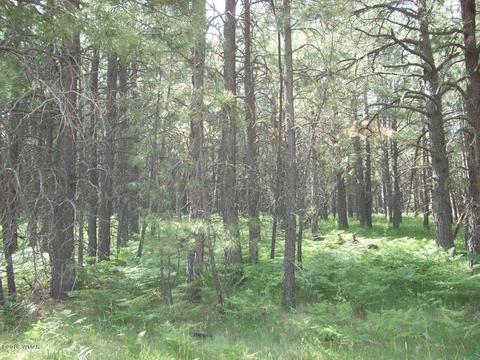 3571 Larson Loop, Forest Lakes, AZ 85931 photo 12