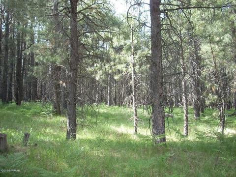 3571 Larson Loop, Forest Lakes, AZ 85931 photo 1