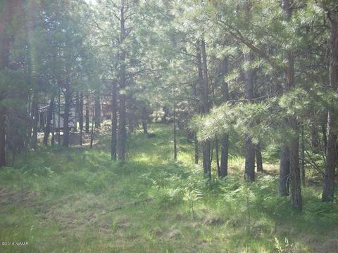 3571 Larson Loop, Forest Lakes, AZ 85931 photo 17