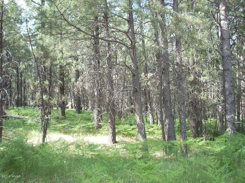 3571 Larson Loop, Forest Lakes, AZ 85931 photo 9