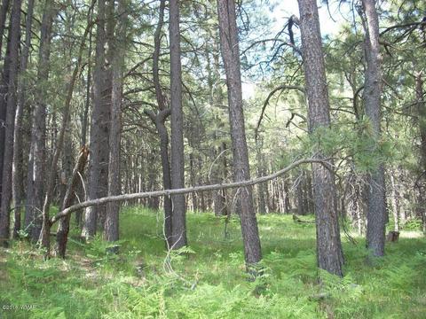 3571 Larson Loop, Forest Lakes, AZ 85931 photo 3
