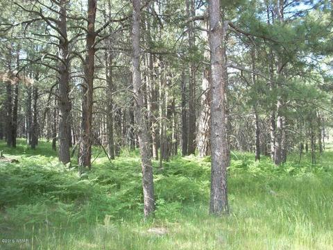 3571 Larson Loop, Forest Lakes, AZ 85931 photo 13