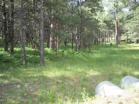 3571 Larson Loop, Forest Lakes, AZ 85931 photo 15