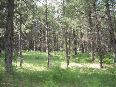 3571 Larson Loop, Forest Lakes, AZ 85931 photo 8