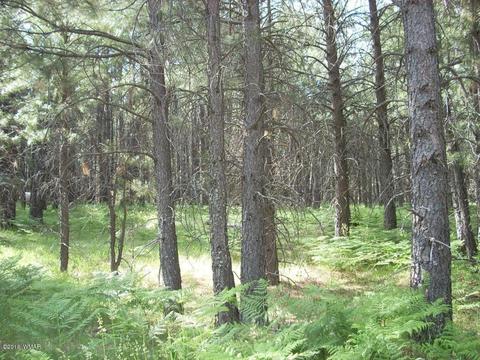 3571 Larson Loop, Forest Lakes, AZ 85931 photo 11