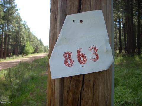 3571 Larson Loop, Forest Lakes, AZ 85931 photo 2