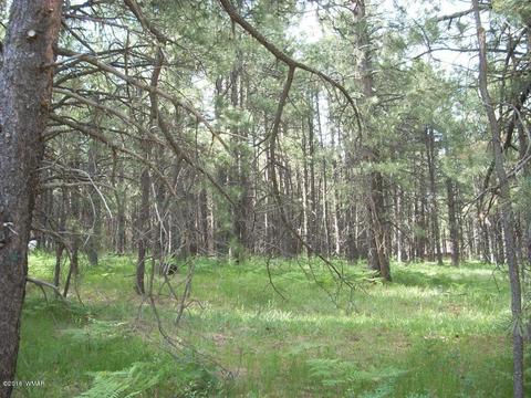 3571 Larson Loop, Forest Lakes, AZ 85931 photo 5