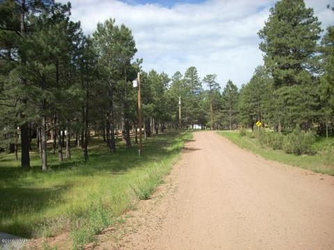 3571 Larson Loop, Forest Lakes, AZ 85931 photo 18