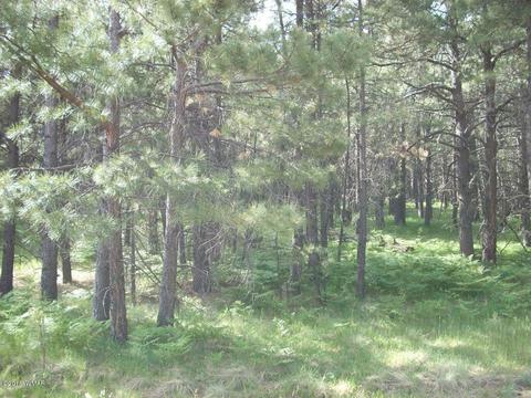 3571 Larson Loop, Forest Lakes, AZ 85931 photo 16