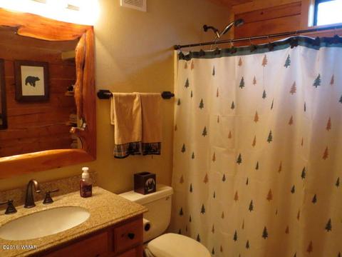 2312 Overgaard Springs Loop, Overgaard, AZ 85933 photo 29