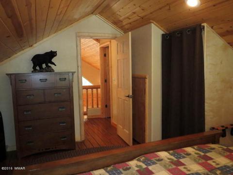 2312 Overgaard Springs Loop, Overgaard, AZ 85933 photo 46