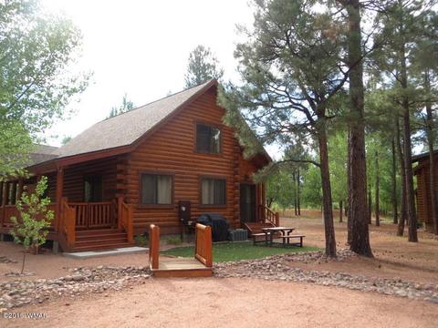 2312 Overgaard Springs Loop, Overgaard, AZ 85933 photo 3