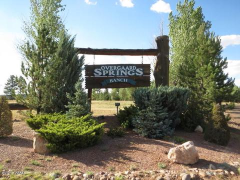 2312 Overgaard Springs Loop, Overgaard, AZ 85933 photo 54