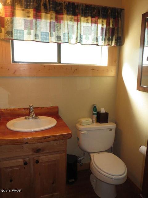 2312 Overgaard Springs Loop, Overgaard, AZ 85933 photo 41