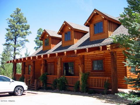 2312 Overgaard Springs Loop, Overgaard, AZ 85933 photo 52