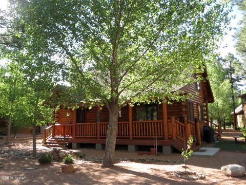 2312 Overgaard Springs Loop, Overgaard, AZ 85933 photo 2